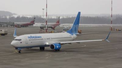 Две российские авиакомпании сумели избежать убытков в пандемию