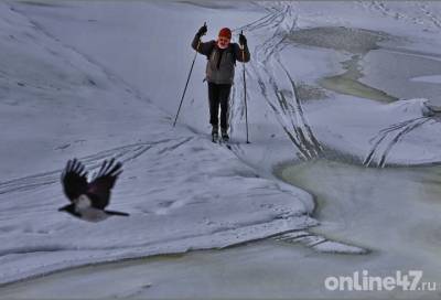 В Юкках лыжник нашел труп старика в медицинской маске и резиновых сапогах - online47.ru - Купчино