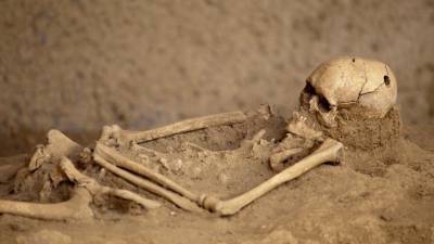 Сенсационное захоронение: археологи изучают останки красноярского чиновника XIX века