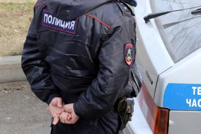 В Петербурге задержан применивший насилие к полицейскому гражданин Азербайджана