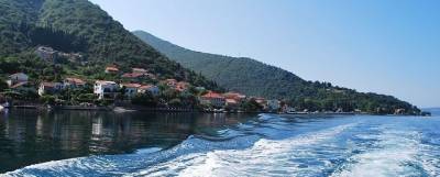 Черногория может ввести ковид-паспорта для туристов