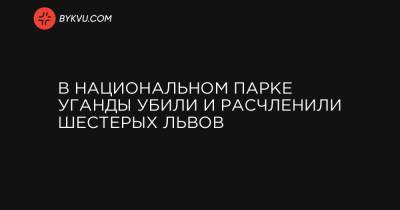 В национальном парке Уганды убили и расчленили шестерых львов