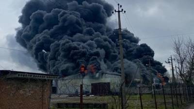 В Краснодарском крае полыхает мощный пожар. Видео