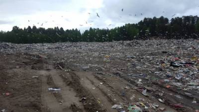 В Карелии построят новый мусорный комплекс: обещают, что свалки исчезнут