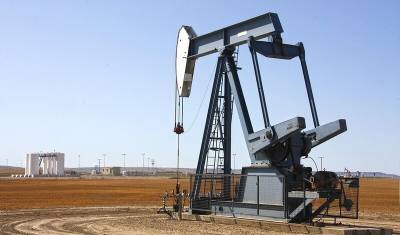 В Башкирии сократились объемы добычи нефти и газа на 64,4% по сравнению с 2020 годом