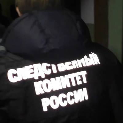 СК подтвердил задержание Белозерцева