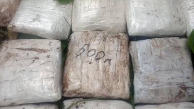 В Россию привезут эквадорца, доставившего в Петербург крупную партию кокаина