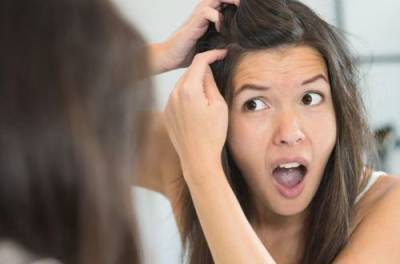 Седой волос: эксперт объяснил, почему нужно дважды подумать, прежде чем выщипывать