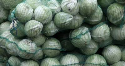 В Украине цены на белокочанную капусту пошли вверх: сколько стоит овощ с борщевого набора
