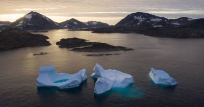 Арктика позеленеет из-за потепления — ученые