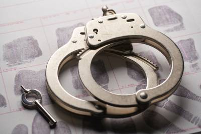 Полицейские задержали парня, ограбившего садовый дом в Марий Эл