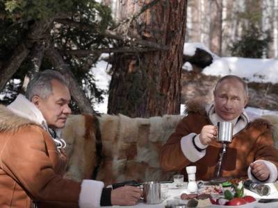 «Хорошо здесь»: Появилось видео, на котором Путин и Шойгу отдыхают в тайге
