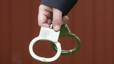 Полиция задержала гендиректора компании "Петрострой"