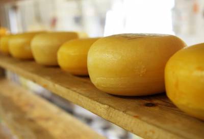 В Петербурге забраковали 350 килограмм швейцарского сыра