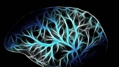 Биоэлектронная машина раскроет тайны мозга человека