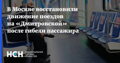 В Москве восстановили движение поездов на «Дмитровской» после гибели пассажира