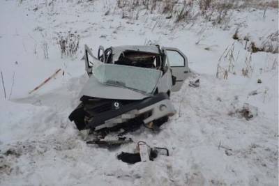Из-за снежного заноса на трассе в Башкирии погиб водитель иномарки