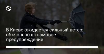 В Киеве ожидается сильный ветер: объявлено штормовое предупреждение