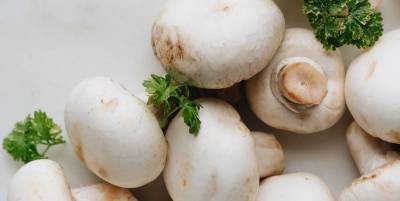 Фаршированные шампиньоны - рецепт грибной закуски от диетолога Светланы Фус - ТЕЛЕГРАФ