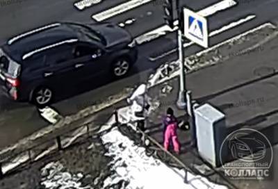Светофор убил собаку током на Гатчинском шоссе в Петербурге
