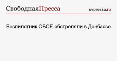 Беспилотник ОБСЕ обстреляли в Донбассе