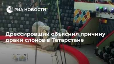 Дрессировщик объяснил причину драки слонов в Татарстане