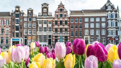 В Амстердаме на протестах против коронавирусных ограничений задержаны 150 человек