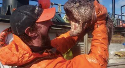 Рыбак выловил настоящего монстра из глубин: фото