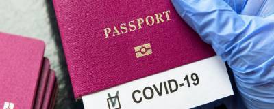 Лавров прокомментировал идею введения COVID-паспортов для пересечения границ