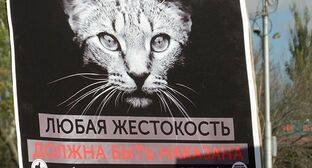 Попытка провести пикет обернулась для майкопских зоозащитников общественными работами - kavkaz-uzel.eu - респ. Адыгея - Майкоп