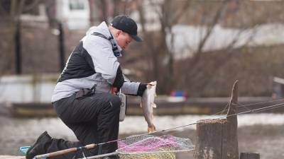 Артем Баранов - Юрист объяснил, кого могут оштрафовать за рыбалку - m24.ru