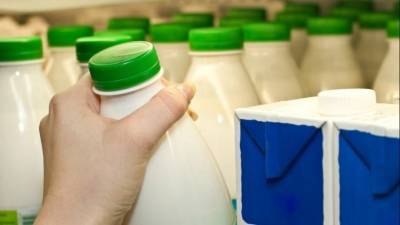 Почти половина молочки на российских прилавках оказалась просроченной