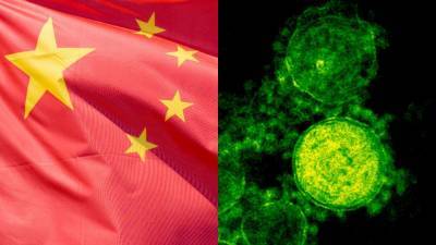 ВОЗ: новый коронавирус мог появиться из-за торговли животными в Китае