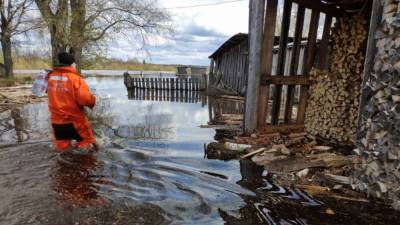 МЧС перечислило находящиеся под угрозой весенних паводков регионы РФ