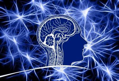 Бельгийские учёные раскрыли сложный механизм работы мозга на бессознательном уровне
