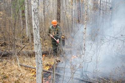 Министр природы Забайкалья заявил о максимальной готовности региона к пожарам