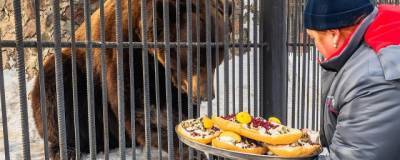 В Красноярске в парке «Роев ручей» проснулись медведи
