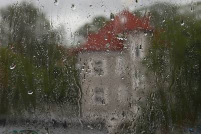 В Ростовской области ожидается дождливая неделя