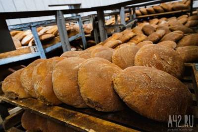 В России скоро появится хлеб из белка насекомых