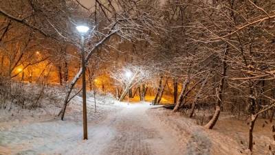 Северо-Запад России перед потеплением завалит снегом