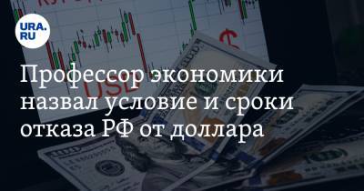 Профессор экономики назвал условие и сроки отказа РФ от доллара