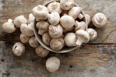 В Украине выросла цена на грибы