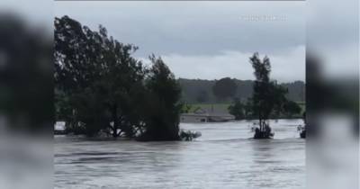 Австралия переживает сильнейшее за последние 100 лет наводнение — впечатляющие видео