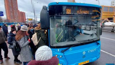 Автобусы КМ перевезли 66 тыс пассажиров в районе закрытого участка Калужско-Рижской линии