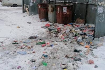 На улице Тимакова в Рязани спецтехника рассыпала мусор возле контейнеров
