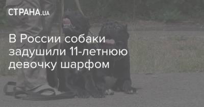 В России собаки задушили 11-летнюю девочку шарфом