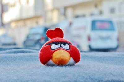 На птичьих правах: «Свинку Пеппу» и Angry Birds ждет суд из-за соцсетей