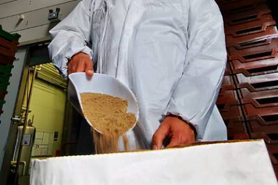 В Госдуме оценили идею кормить россиян хлебом из насекомых