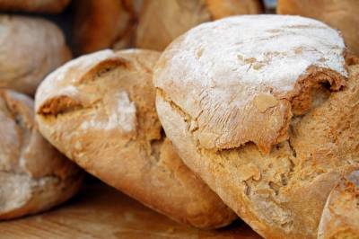 Мясо и хлеб из белка насекомых появятся на полках российских магазинов