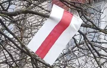 «С самого утра в нашем микрорайоне появились десятки бело-красно-белых флагов»